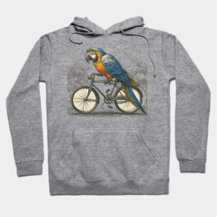 McCaw Parrot on a bicycle Hoodie